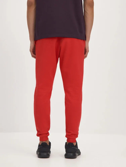 Брюки спортивные мужские REEBOK IDENTITY SMALL LOGO FLEECE JOGGER