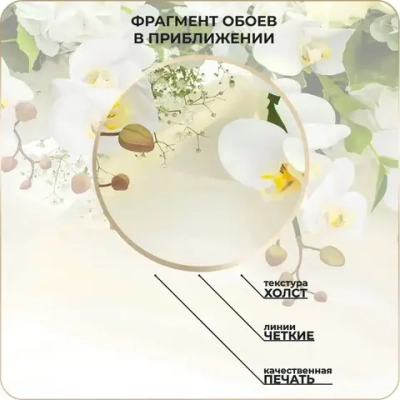 Фотообои 3D Цветы Орхидеи в детскую, в зал, в спальню, в гостиную, на кухню 400х270