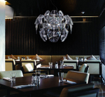 люстра Hope D50