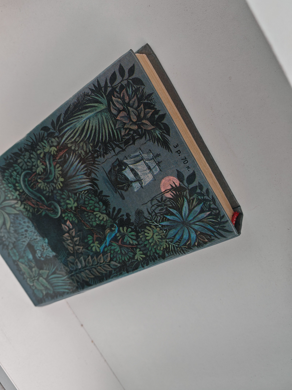 Белый Ягуар - вождь араваков