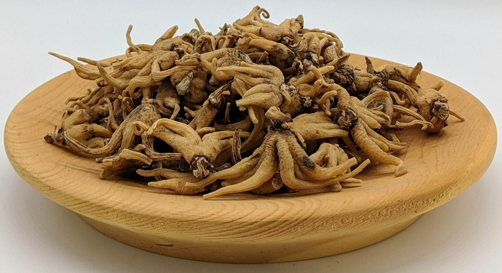 Ятрышник пятнистый (пальчатокоренник пятнистый) (корень)