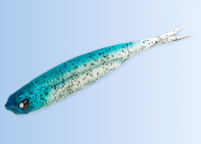 Makora Split Tail