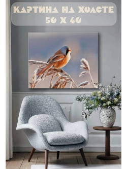 Картина на стену 40 X 50 Красная птица