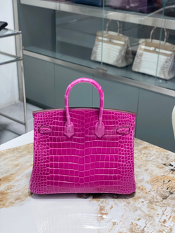 Hermes Birkin 25