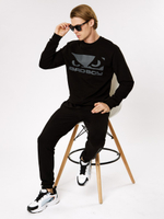 Спортивные штаны мужские Bad Boy Energy черные/серые