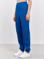 Брюки женские с начесом (синий)