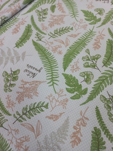 Рогожка Ботаника