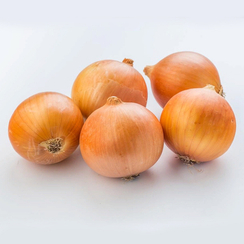 ПХ 07713119 F1 семена лука репчатого (Seminis / Семинис)