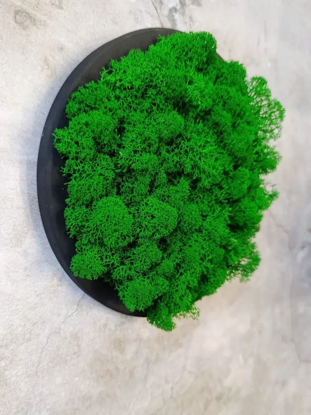 Круглое панно на стену из мха набор 3 шт.