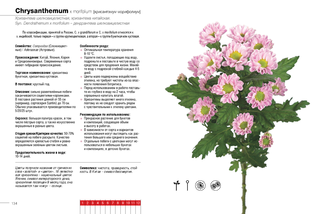 Цветы в срезке от A до Z. Часть 1 (A-G). Каталог-справочник