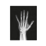 Набор 4M Юный врач. Скелет человека