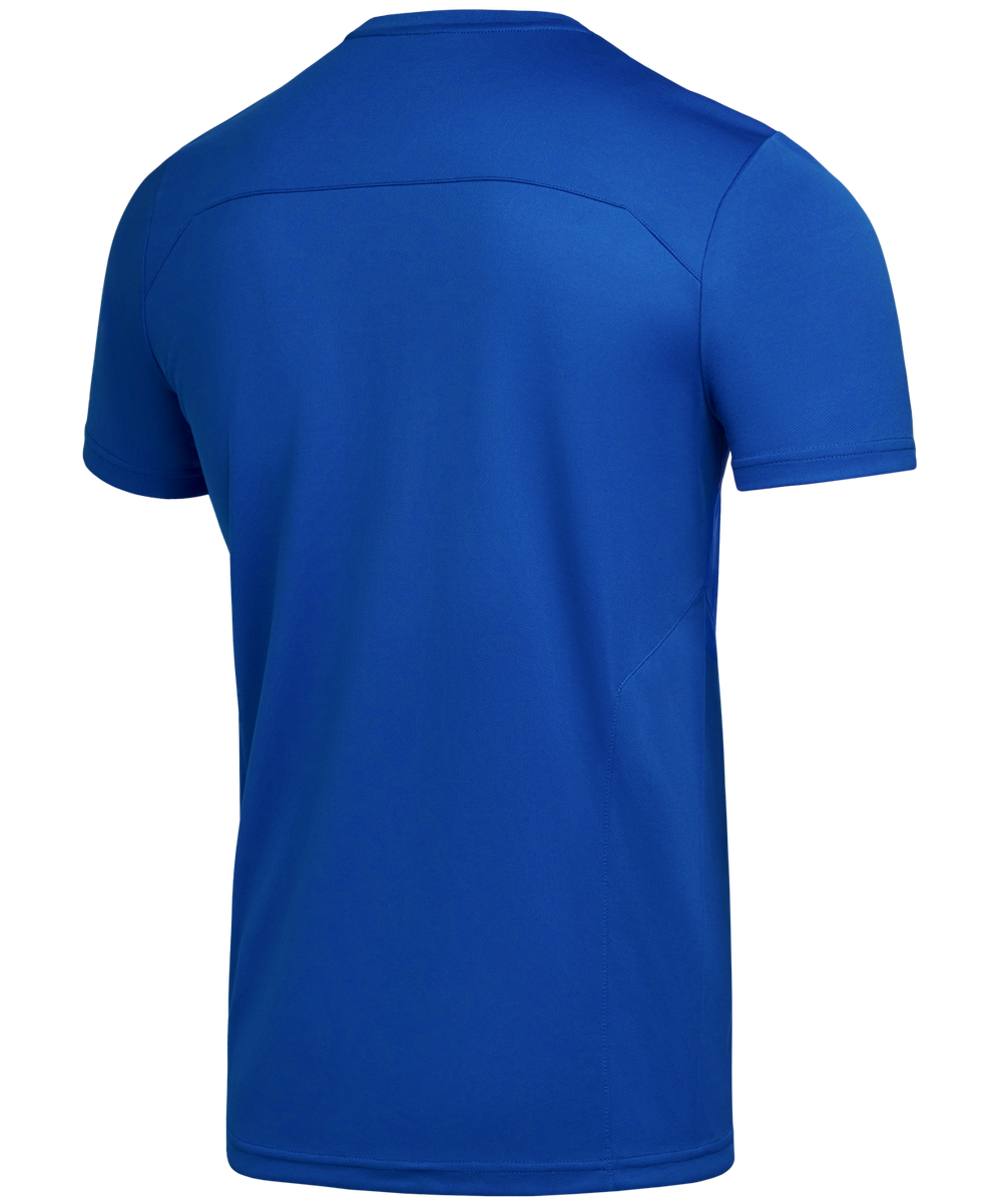 Футболка тренировочная DIVISION Training Tee, синий