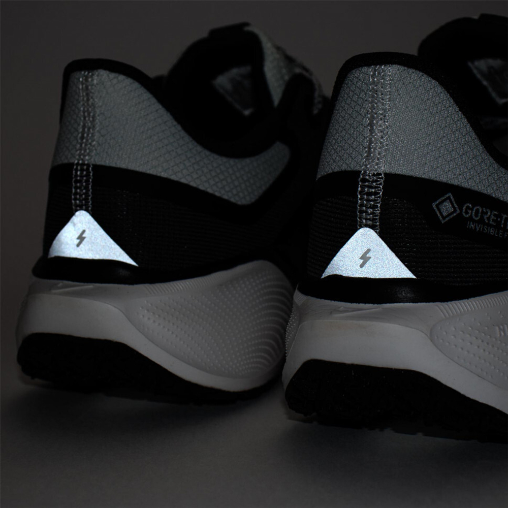 кроссовки Nike Air Zoom Pegasus 41 Gtx Iron Grey FQ1356-002