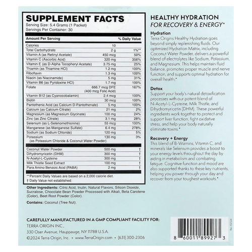 Terra Origin, Healthy Hydration +, чай со льдом из половины и половины лимонада, 30 пакетиков по 5,4 г (0,19 унции)