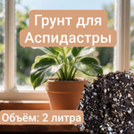Авторский грунт для Аспидистры 2 литра грунт универсальный 2 литра
