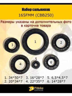 Набор сальников полный 165FMM (CBB250)