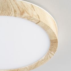 Citilux Бейсик CL738122N LED Светильник накладной Клён