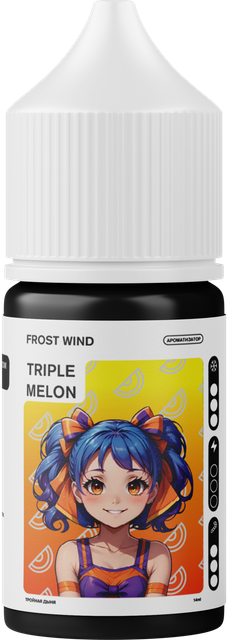 Ароматизатор Frost Wind 14 мл - Тройная Дыня