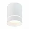 ST115.532.12 Светильник потолочный Белый LED 1*12W 3000K 840Lm Ra>90 120° IP20 D79xH100 170-240V Накладные светильники