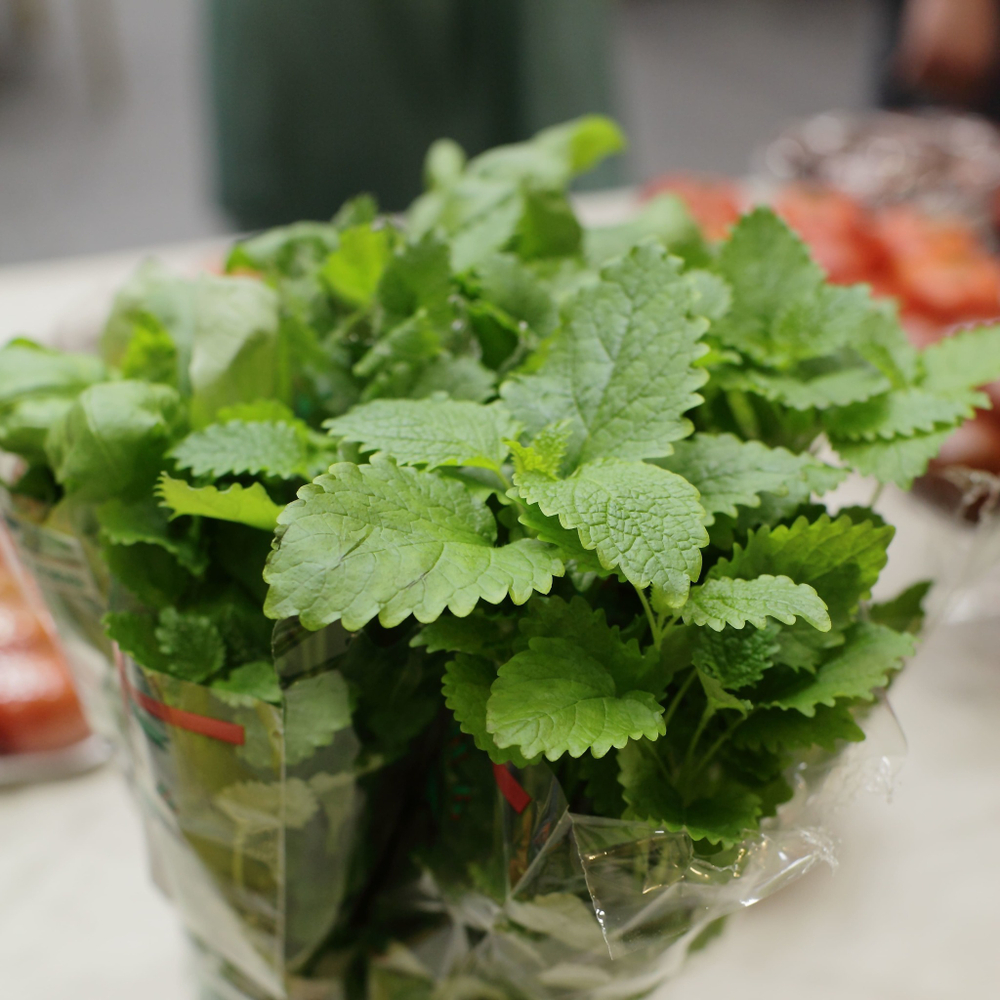 Тимол семена мяты (Гавриш)