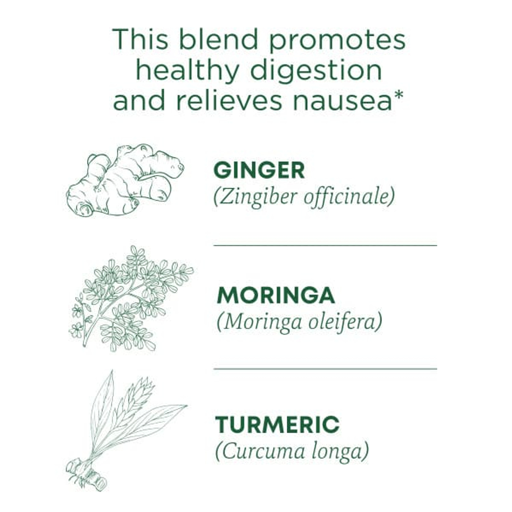 Traditional Medicinals, Organic Ginger Aid®, имбирь и лимонный мирт, без кофеина, 16 чайных пакетиков в упаковке, 32 г (1,13 унции)