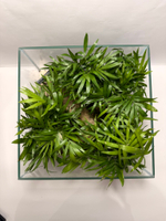 Флорариум S (от 10 до 20 см)