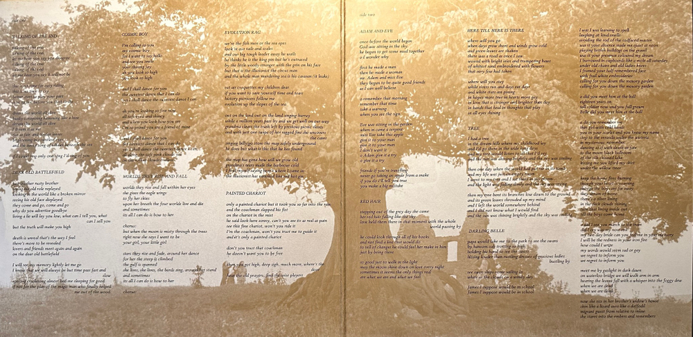 The Incredible String Band - Liquid Acrobat As Regards The Air (Англия 1971г.)