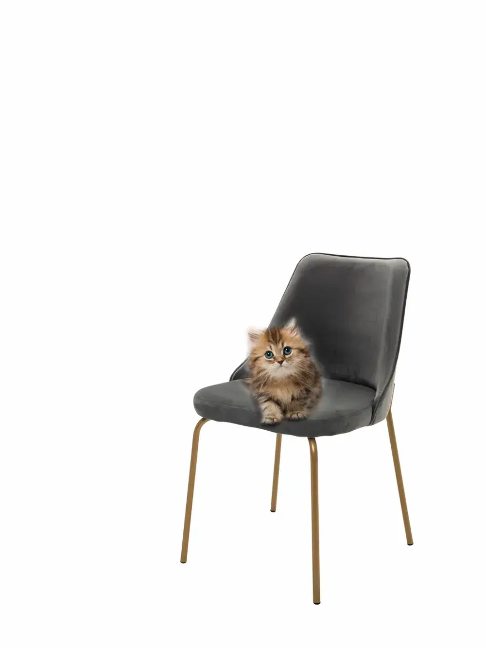 Стул "Флорес" 1 шт. Антивандальная ткань, Золотые ножки