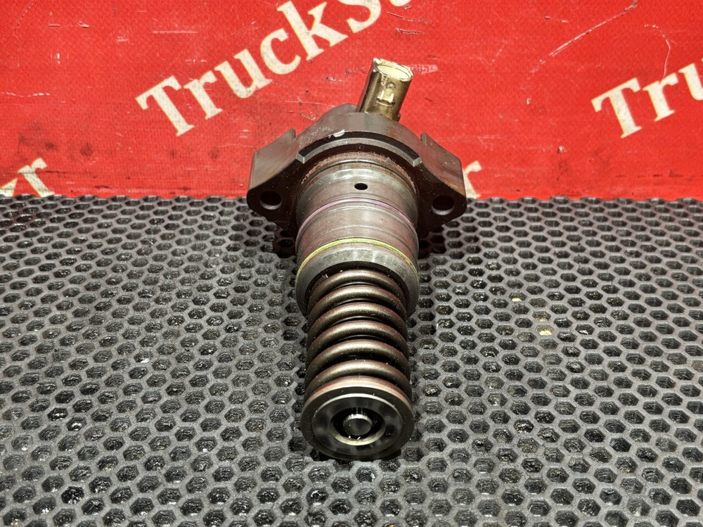 PLD секция 2019г.