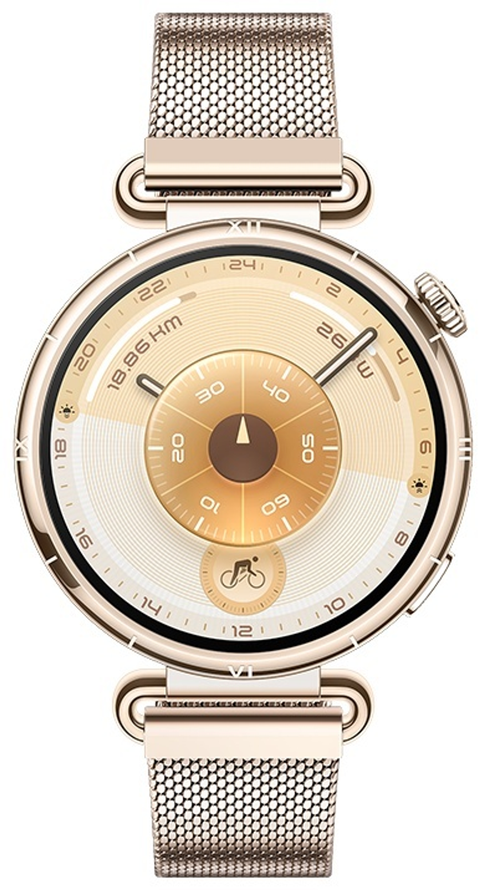 Смарт-часы Huawei WATCH GT 6 41 мм золотистый-золотистый