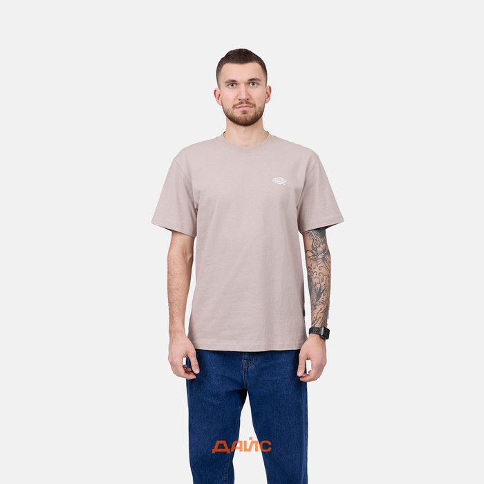 Футболка мужская Dickies Summerdale Tee артикул:DK0A4YAISS01 - купить в магазине Дайс