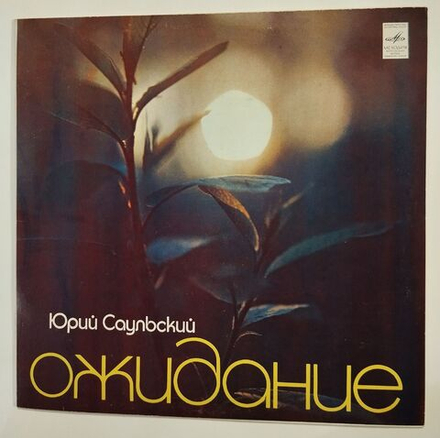 Винтажная виниловая пластинка LP Сборник Юрий Саульский Ожидание (СССР 1981) (Ротуру, Киров, Кобзон)