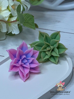 Силиконовая форма Суккулент