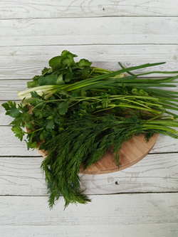 Набор зелени: зеленый лук, кинза, укроп, петрушка. Вес набора 160 грамм.