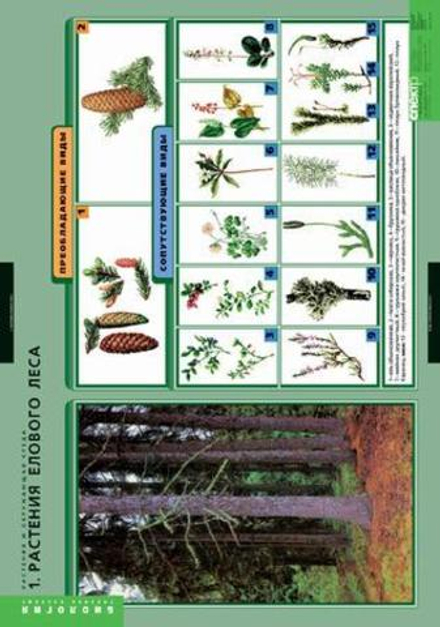 Учебный альбом Биология. Растения и окружающая среда (7 листов)