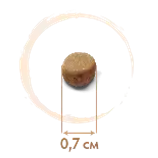 Grandorf Сухой корм для взрослых собак мини пород четыре вида мяса с пробиотиками