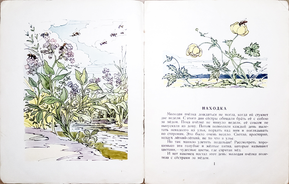 Павлова Н. Желтый, белый, лиловый. Худ. Алфеевский В. М.- М., Детгиз 1958г.