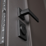 Стальная дверь "Дравит" (терморазрыв 3к). Заказная модель.