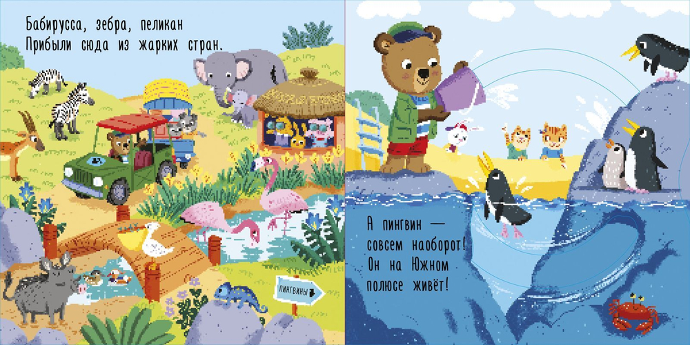 Медвежонок Федя в зоопарке