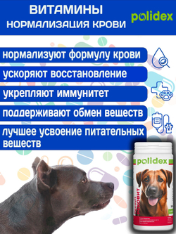 Polidex Recovit для собак, Кормовая добавка для восстановления организма после операций, травм, больших потерь крови, Полидекс Рековит, 150 таб