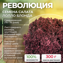 РЕВОЛЮЦИЯ семена салата (Nunhems | Alexagro)