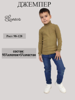 19-06-3 Джемпер для мальчика