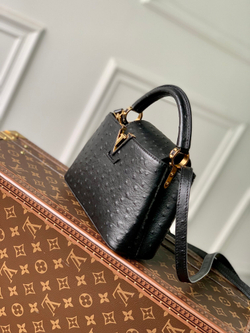 Louis Vuitton Capucines Mini