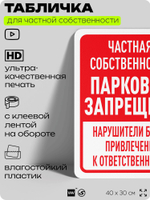 Табличка для частной территории "Частная собственность, парковка запрещена", на дом, для участка, организаций, предупреждающая, 40х30 см, Silver Plane x Айдентика Технолоджи