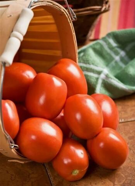 Томат индетерминантный Яки F1 (Seminis | Alexagro) 10 шт.