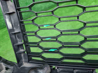 Решетка переднего бампера BMW X1 F48 19-22 M-paket