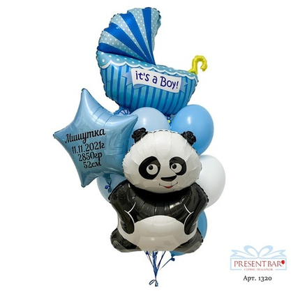 Воздушный сет на выписку мальчика