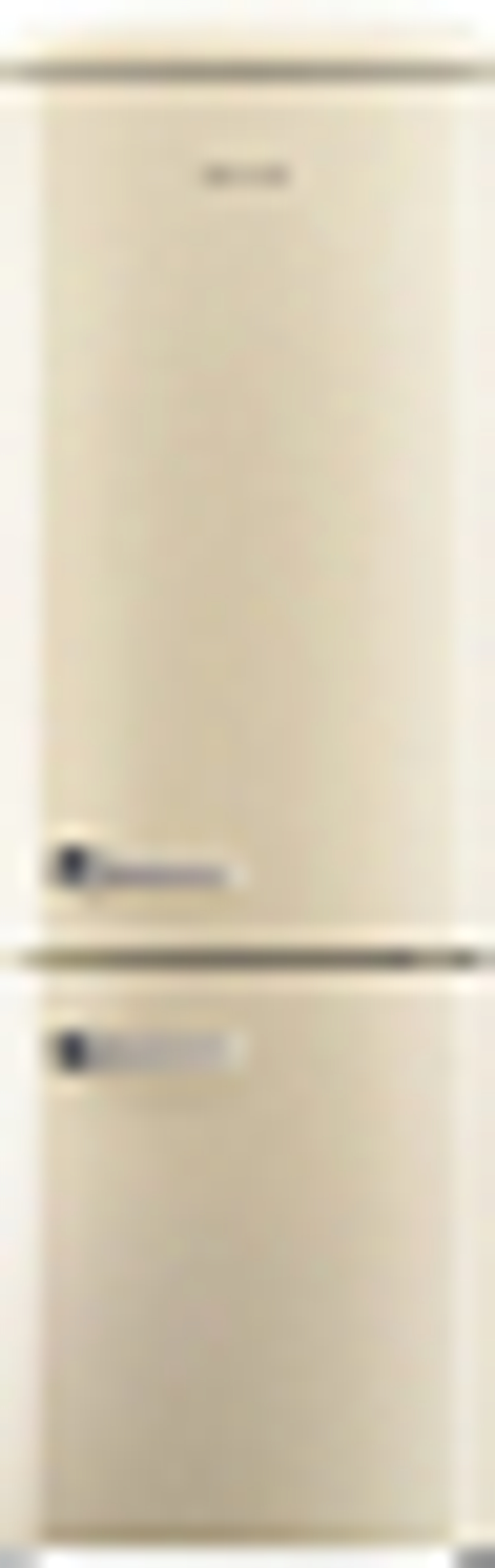 Отдельностоящий холодильник Gorenje ORK 192 C