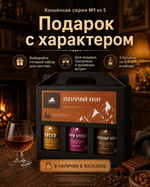 Подарочный набор бутылок «Коньячная серия -1»