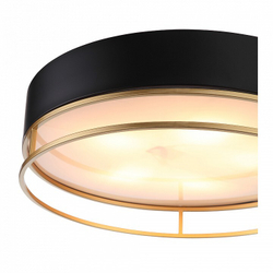 Накладной светильник ST-Luce SL1127.432.05
